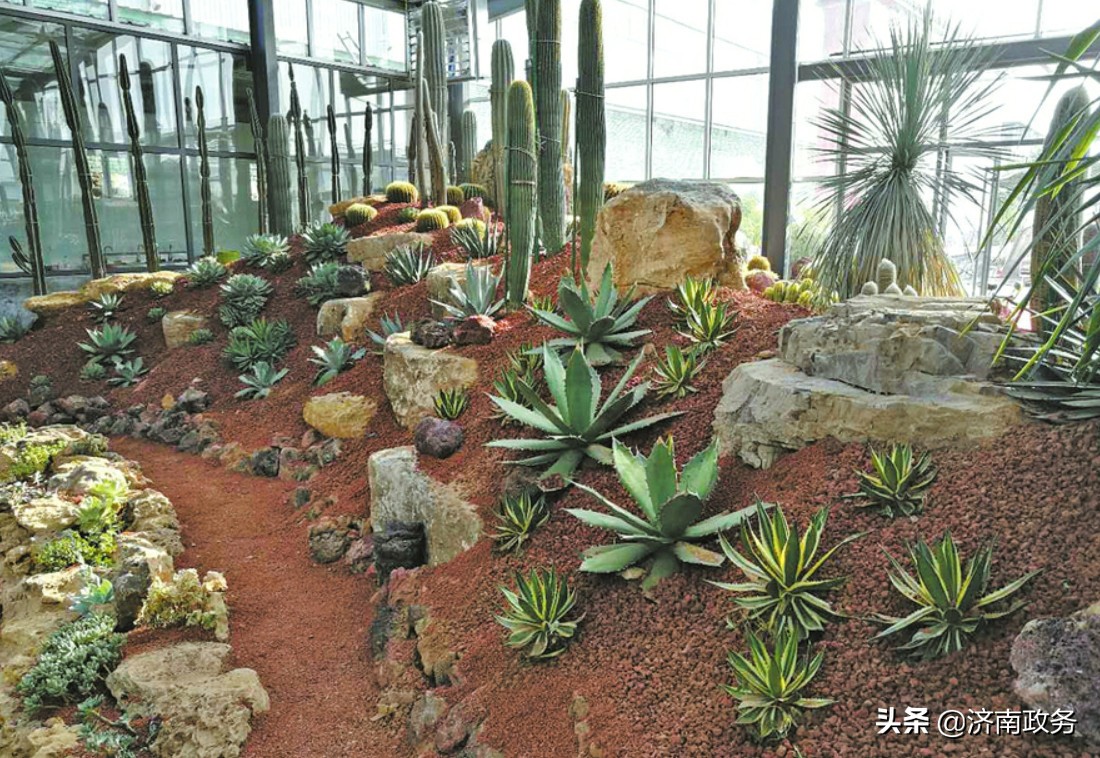 他们的青春在乡村振兴中闪光,乡村振兴路上的前进的耕耘者