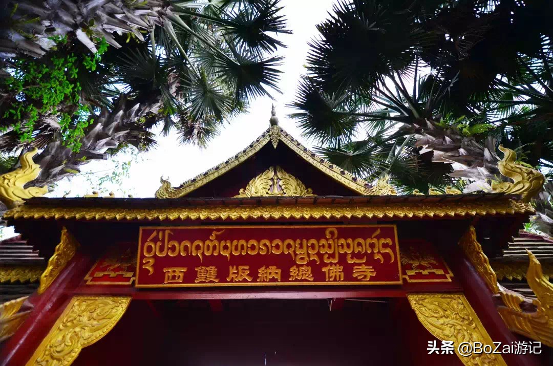 云南西双版纳到文山途经哪些景点,西双版纳适合6-12岁儿童的景点