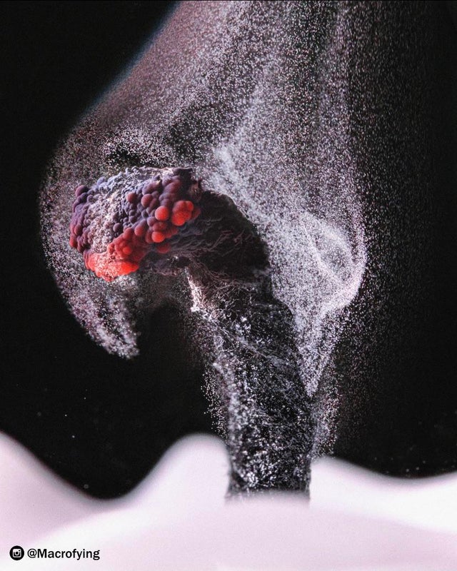 50张活久未见的上色老照片,30张活久未见的照片