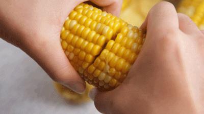 正宗爆浆水果玉米,甜脆水果玉米爆浆