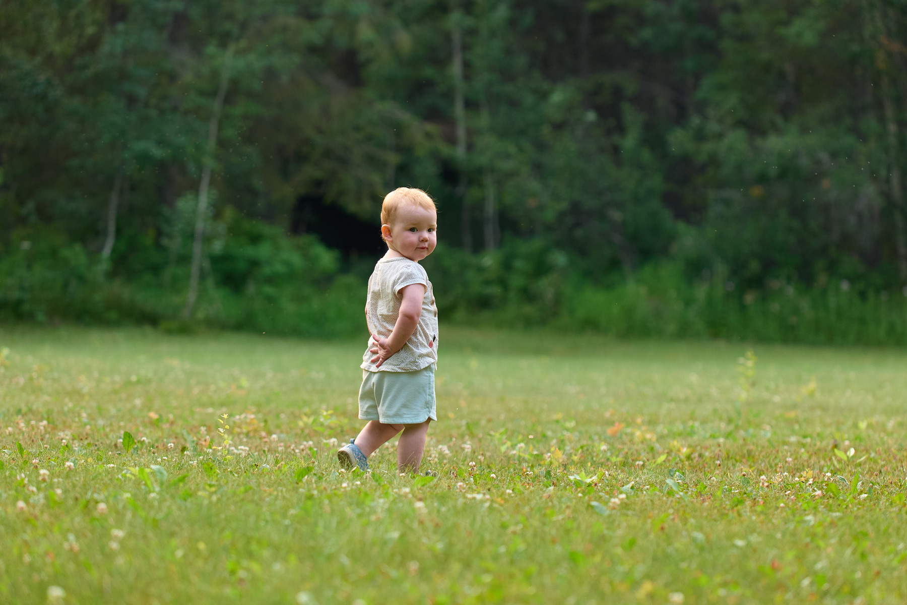 适马sigma60-600mm拍月亮,适马sigma18-50mmf2.8dcdn测评