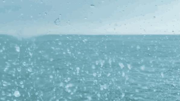 花鸟岛超详细旅游攻略,花鸟岛海岛旅行