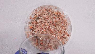 社创案例|变身环保塑料：小龙虾壳的“善终”