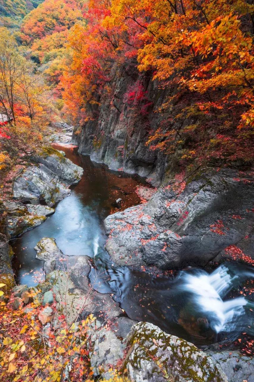 五一这样拼假可连休9天,快来看五一放假四天最全拼假攻略