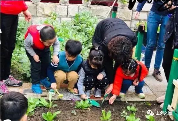 上海市最好的私立幼儿园收费标准,上海宝山民办幼儿园