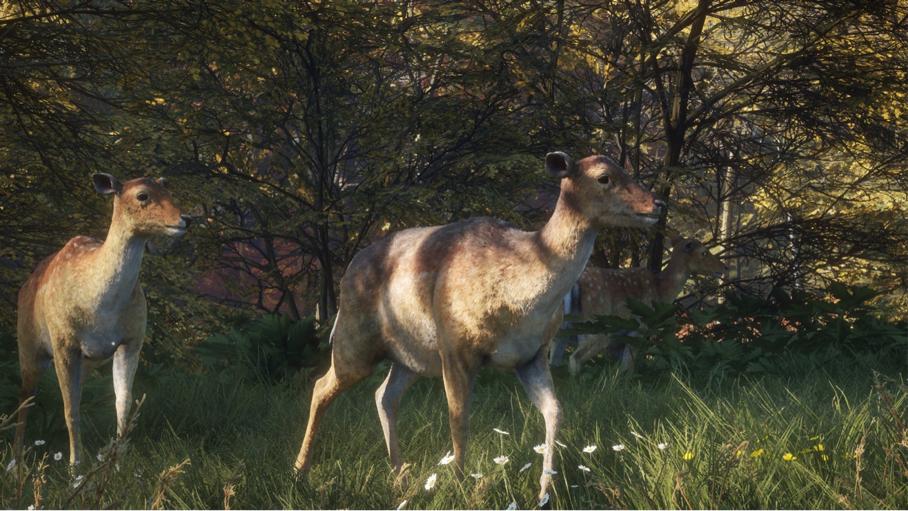 steam拳皇13.14.15,steam拳皇13最低价