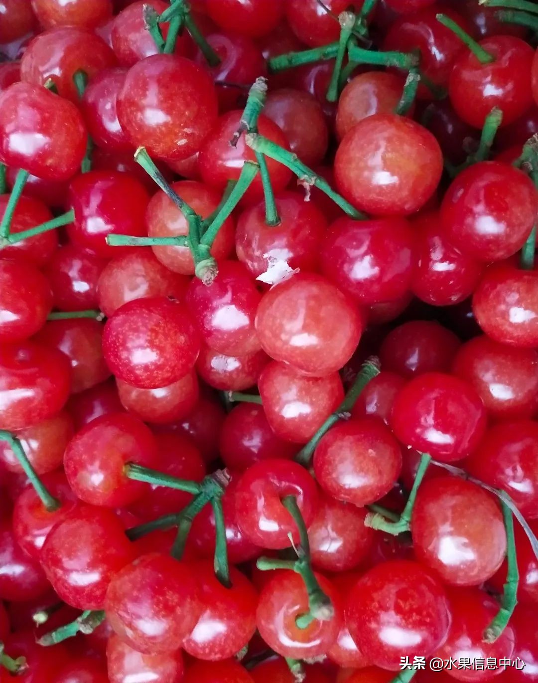 国内好吃的热带水果有哪些,小众水果推荐