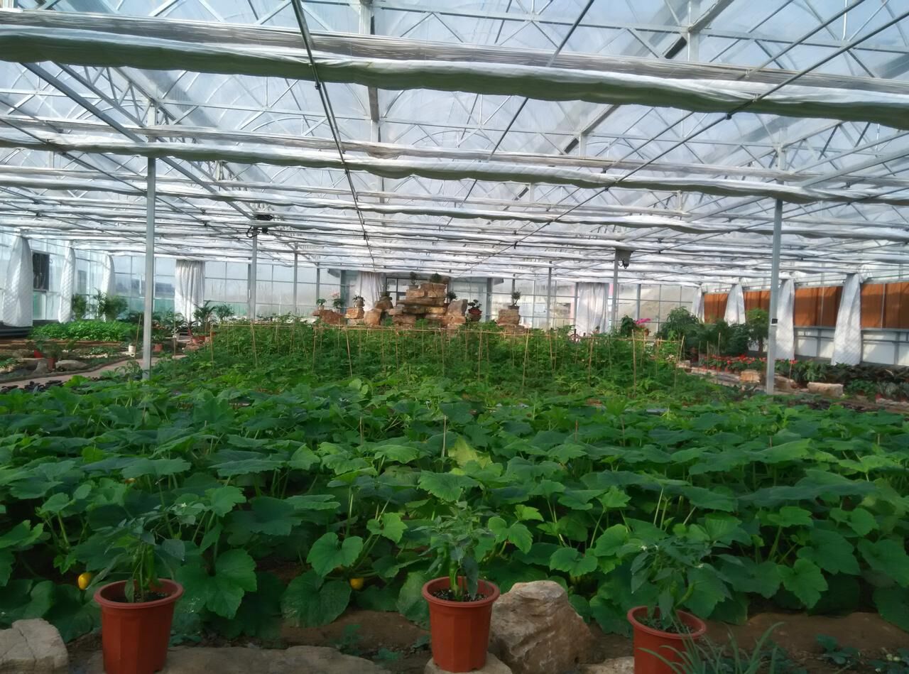 小构件大作用,薄膜大棚M撑简介