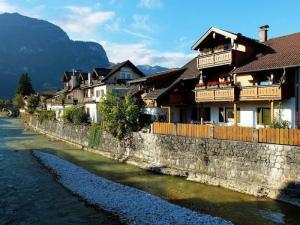 北京冬奥最全科普,我为冬奥加油视频