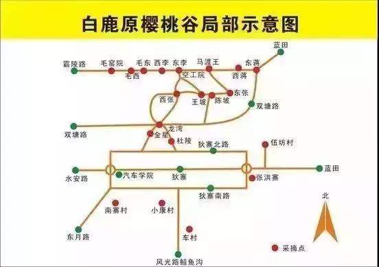 西安周边摘樱桃的地方,西安摘樱桃最佳地点