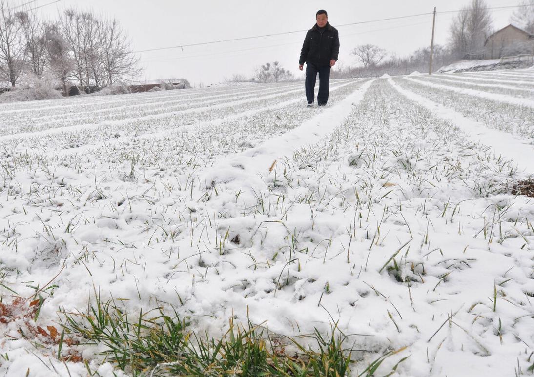 今冬数九是从哪天开始,今冬什么时候数九最冷
