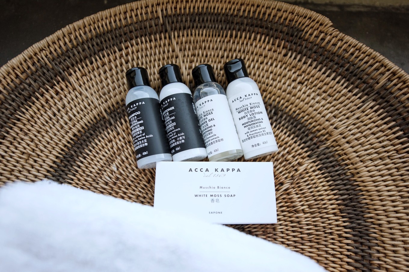 度假的袋鼠,青岛旅行的袋鼠