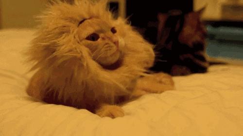 喷嚏憋不住,喷嚏打不出来憋得难受怎么回事