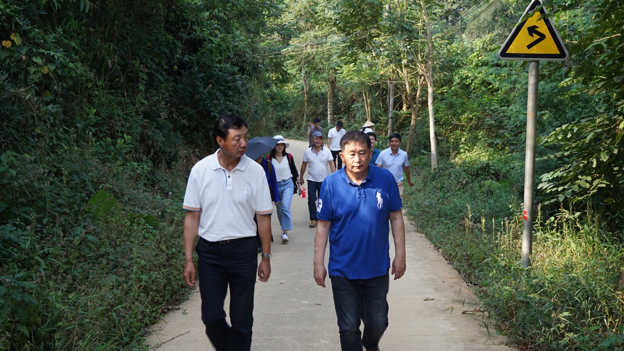 调研联盟,联合调研乡村振兴