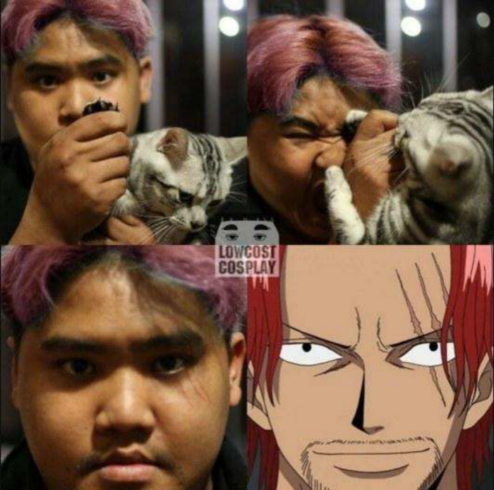 怎么看待现在的c圈呢,c圈不看颜值