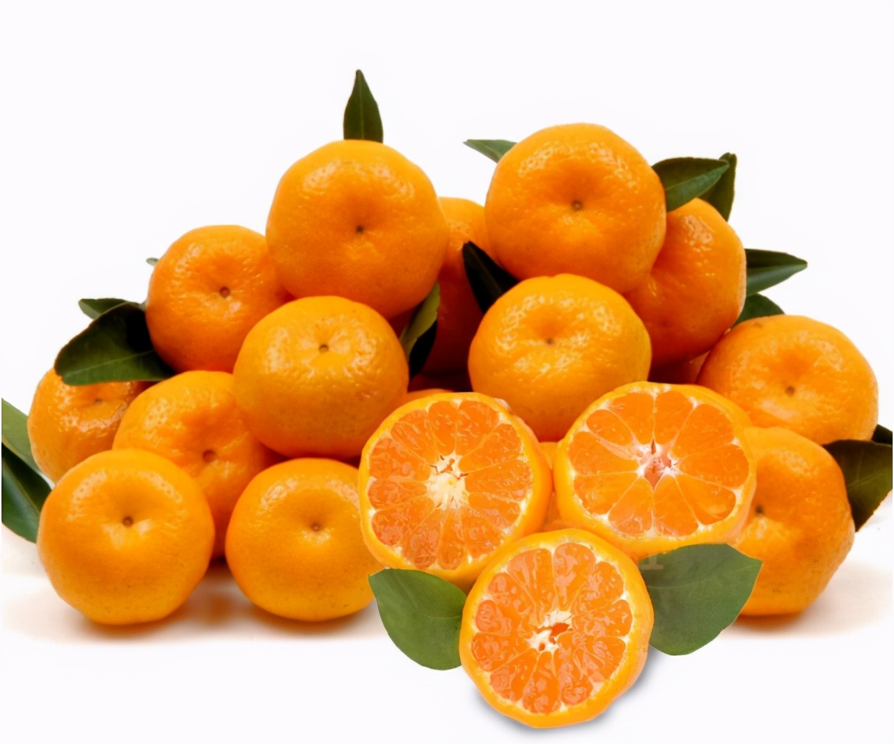 最近卖南丰桔子,南丰蜜桔多少钱一斤