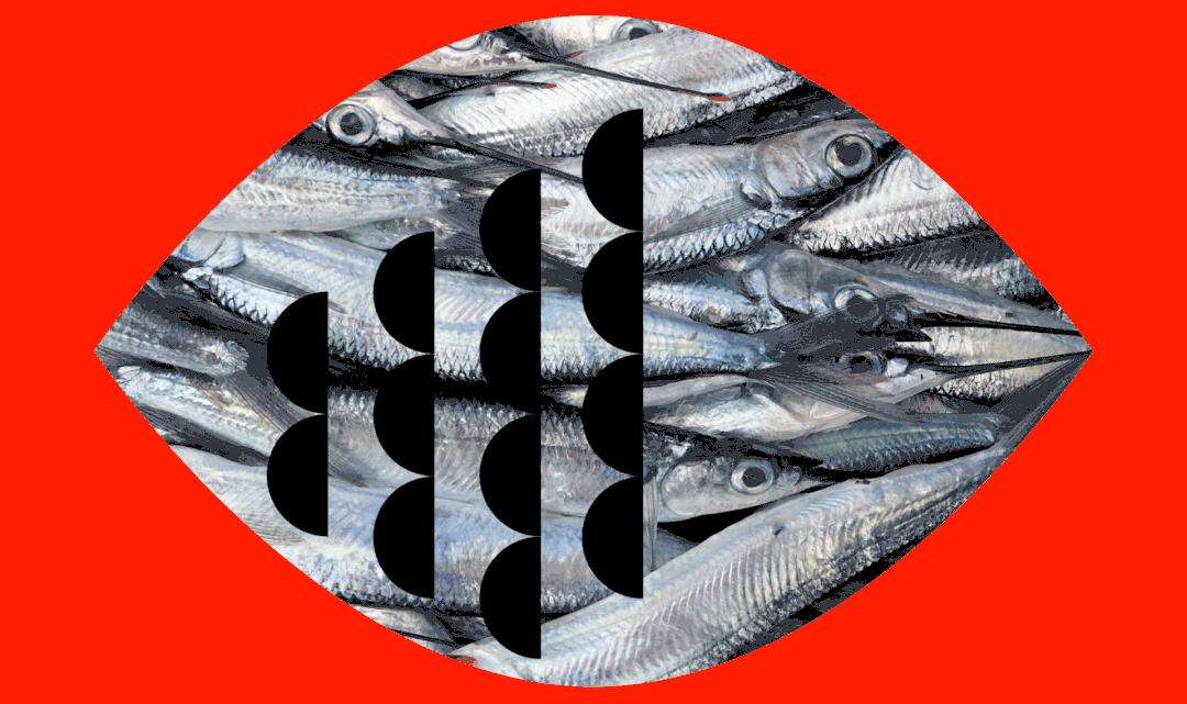 元素的图形化设计,不规则图形面积实践作业设计