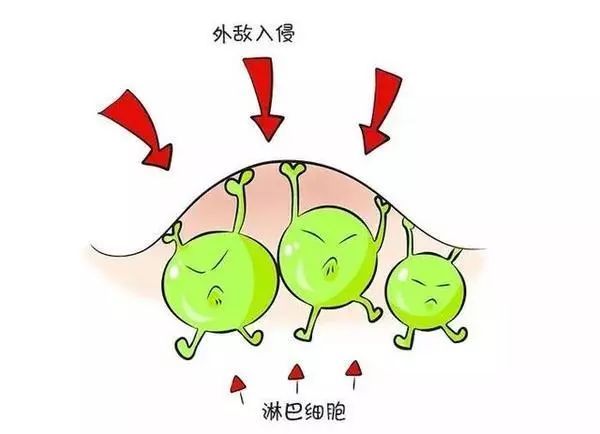 脖子摸到黄豆大小的淋巴结正常吗,脖子侧面摸到黄豆粒大小疙瘩