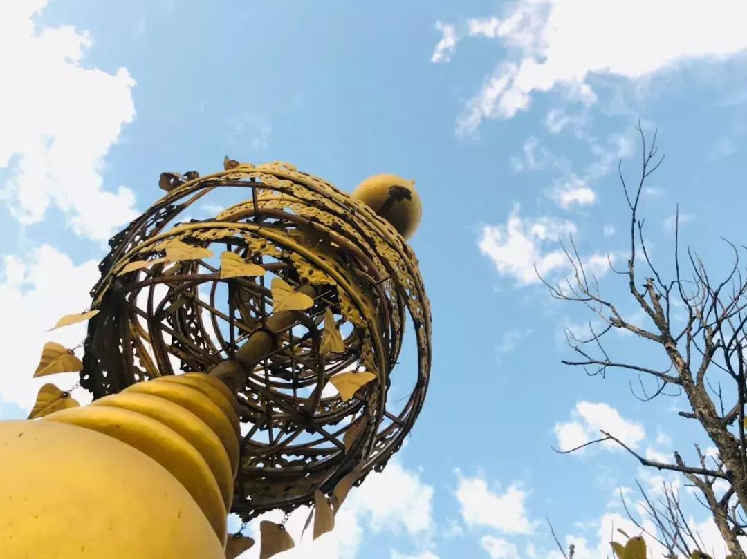 来姐告口岸体验一把非一般的跨境“网”商