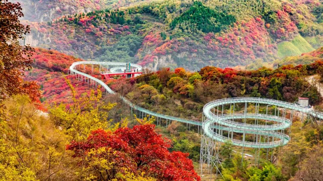 打造地方特色文旅项目,重磅打造的文旅项目