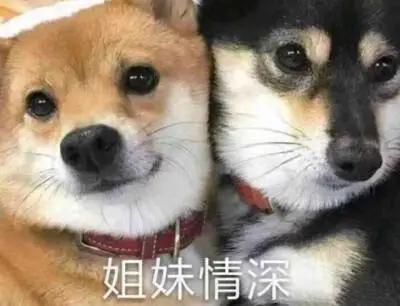 这些贵妇牌双十一竟然买一送一？闭眼入绝对不亏