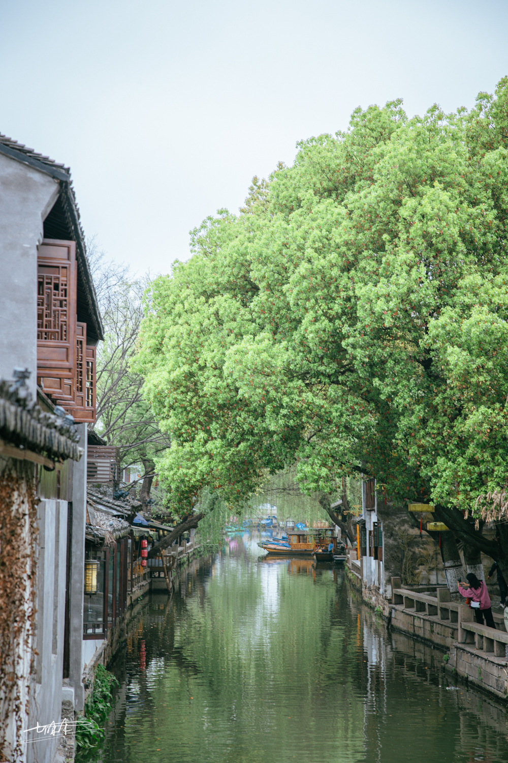 梦里水乡乌镇周庄风景视频,周庄版梦里水乡