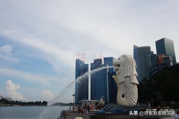 狮城奇葩事件视频,狮城奇案之罪案现场2