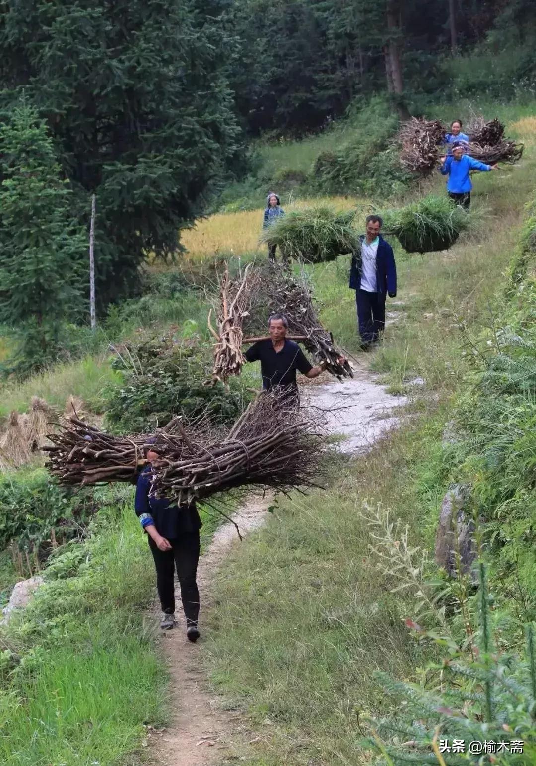 小型车有哪几种,农村用的小平车