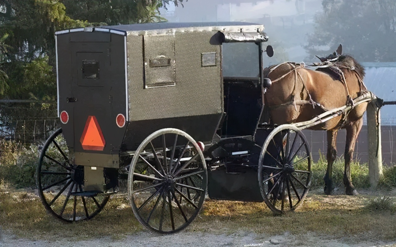 用钱换“屁股”，买旅行车到底图个啥？