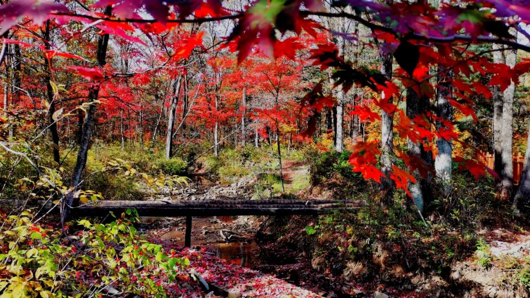 延边迷人风景,延边旅游一日游最佳路线图片