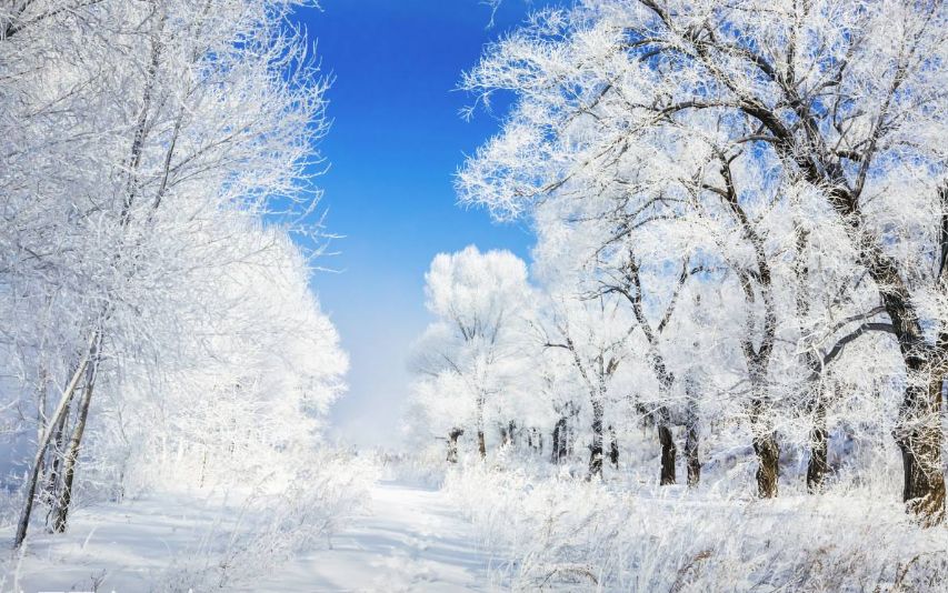 古诗词中柳树的寓意,古诗词里有冬天的诗句