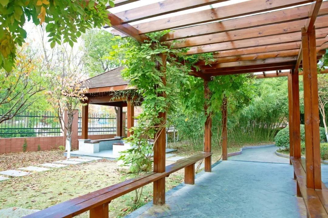 南通实验小学招生公告,南通市实验小学北校区施教区域