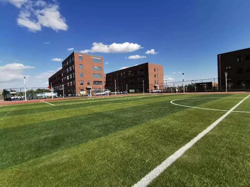 下半年全面开挂成功“上位”！我敢打赌，这是你从未见过的宝坻