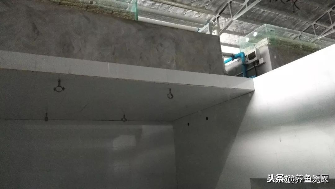 这位土豪家的渔场,光滤材就花了500多万,你确定不要见识一下?