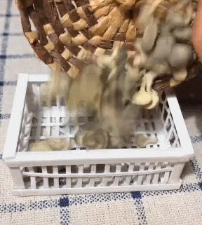 一个90后全职妈妈,一个90后的全职妈妈