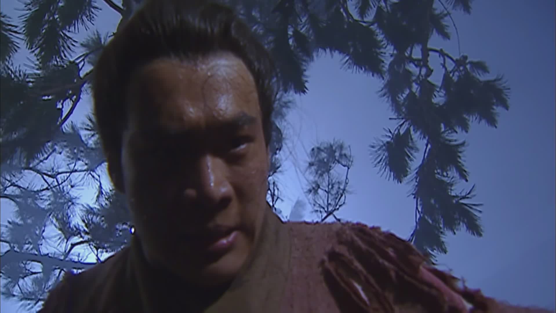 东北虎扑倒老太太,东北虎扑倒女子