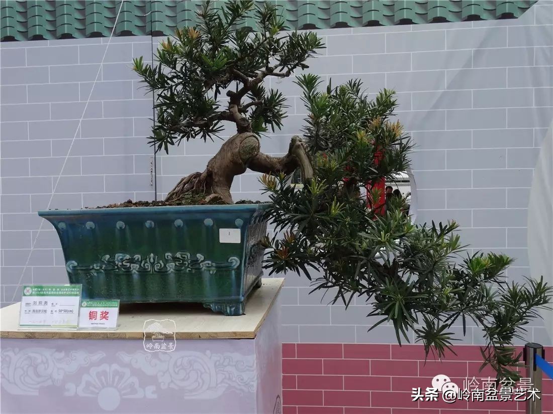 开运招财，非其莫属！清风雅韵，当之无愧！