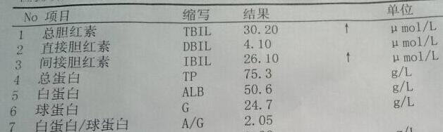 体检前一晚吃橘子胆红素升高,体检报告总胆红素偏高有什么影响