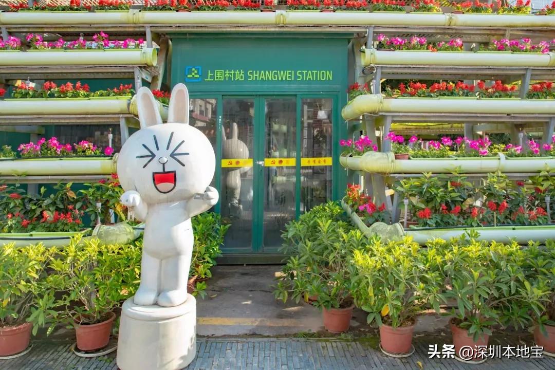 深圳免费的景点有哪些地方,深圳有哪些免费又好玩的地方景点