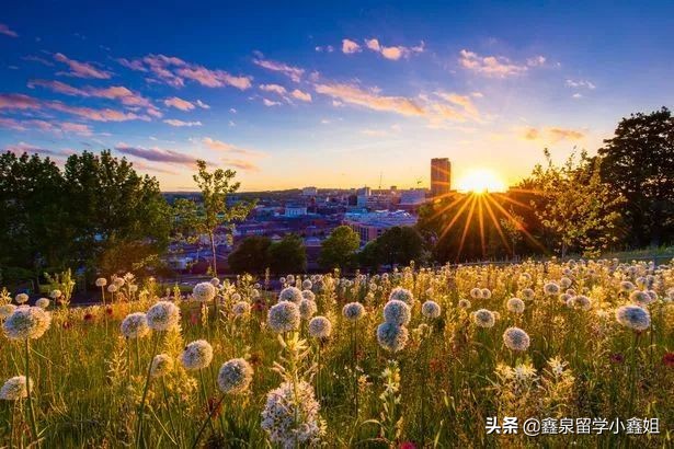 英国谢菲尔德住宿攻略,谢菲尔德一日游攻略