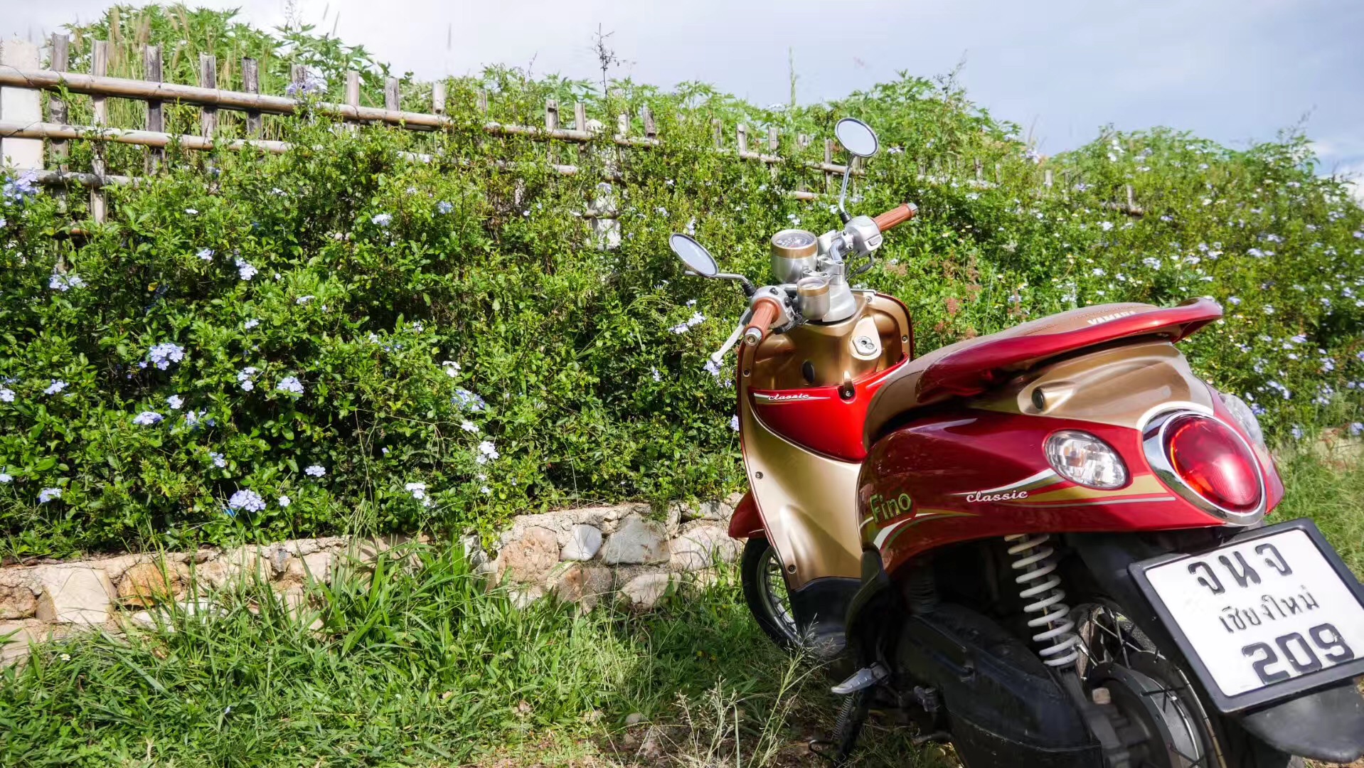 泰国免签入境需要看酒店信息,泰国签证必须提供全程酒店入住单