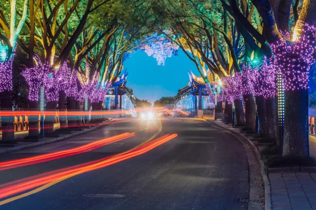 乐玩周庄|十一人从众?换一种打开方式,独享一个人的绝美水乡