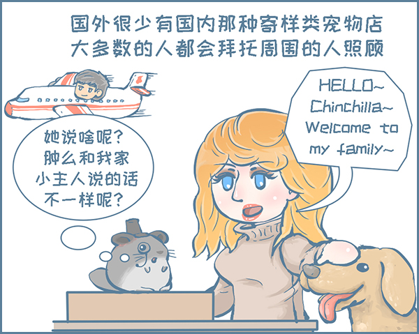 龙猫原创画,龙猫漫画作品