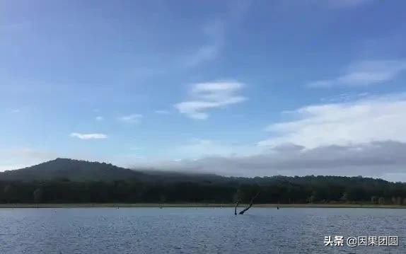 虎王拉贾孩子,虎王拉贾儿子怎么死的