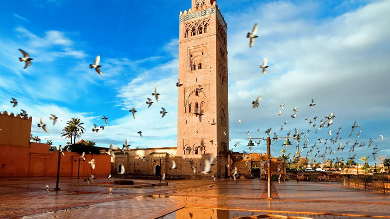 摩洛哥出口中国的商品有哪些,摩洛哥向中国出口的产品