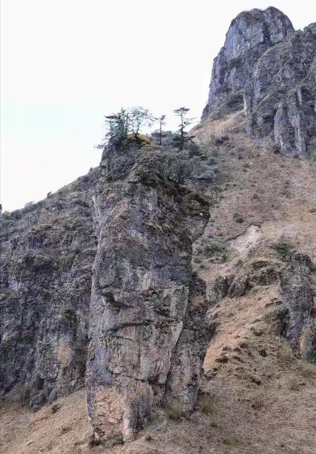 东川石将军自驾游,云南东川石将军罗汉松