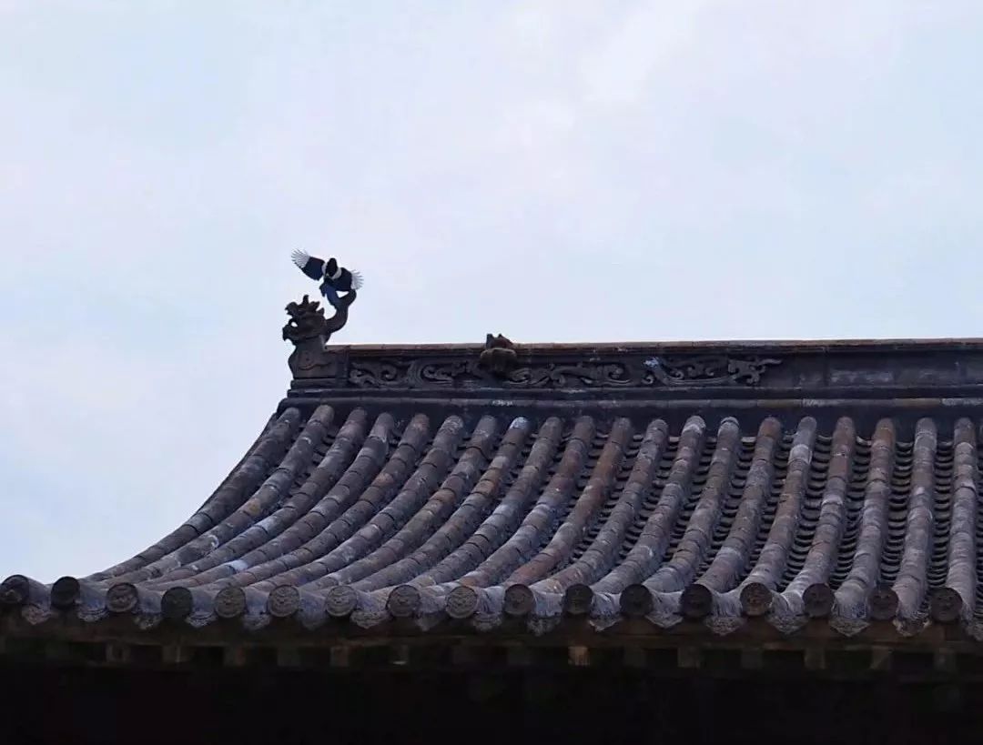 一座神人共栖的“煤都”