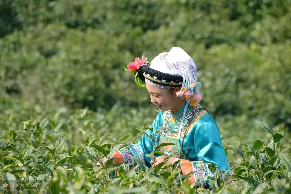 农村90后小伙回乡创业,贵州80后小伙第三次创业