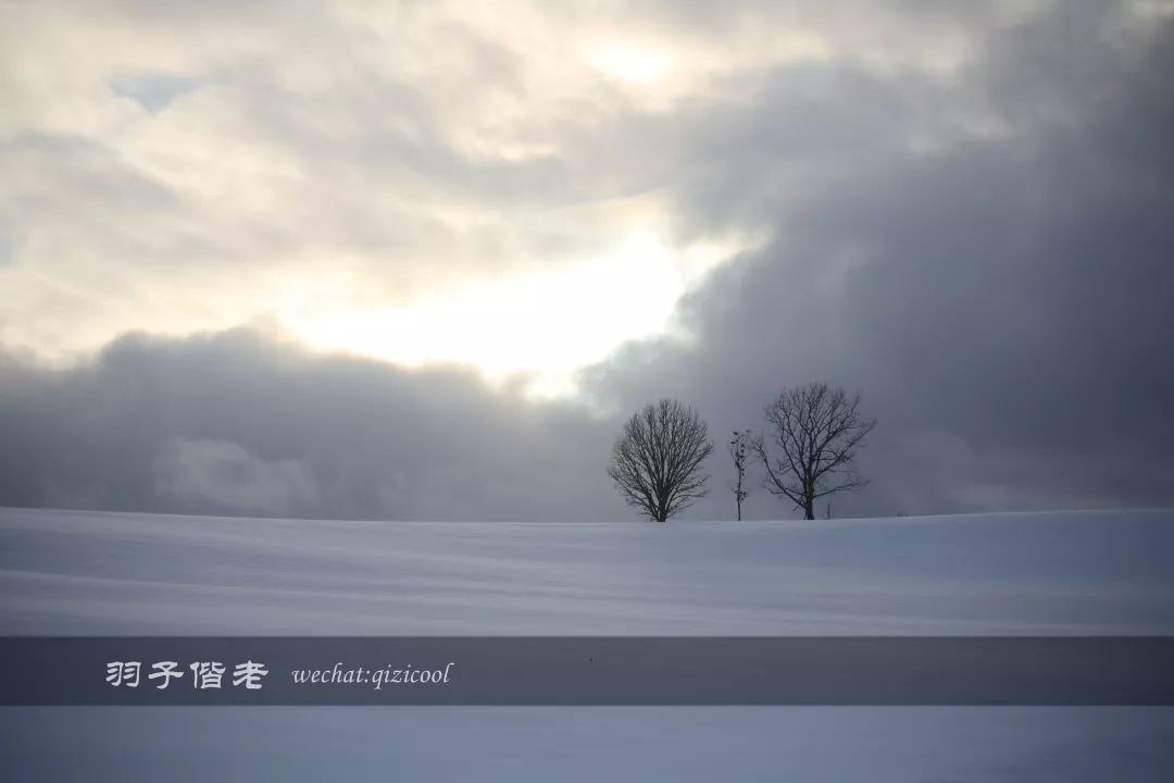 老实说,这一趟北海道就是为了拍好看的照片去的