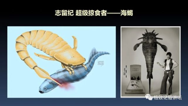 我们用来咬合的颌骨，竟和这条古鱼海怪一脉相承